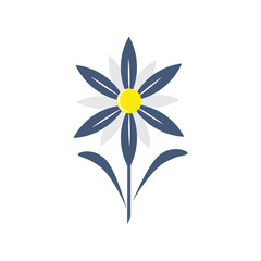 Edelweiss flower icon template illustration