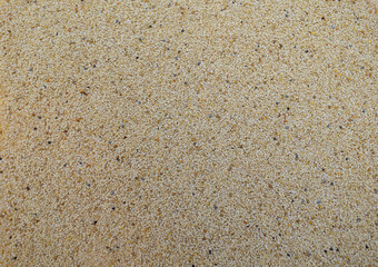 White poppy seeds for background.