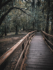 wooden bridge in the woods
