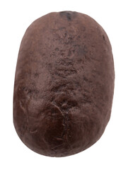 Coffee bean isolated