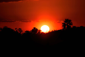 Sunset