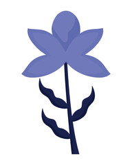purple flower design