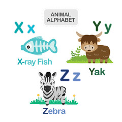 Cute animal alphabet from Letter X to Z