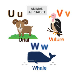 Cute animal alphabet from Letter U to W