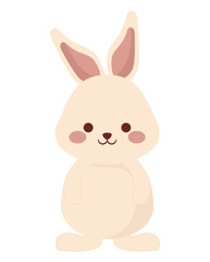 cute bunny design