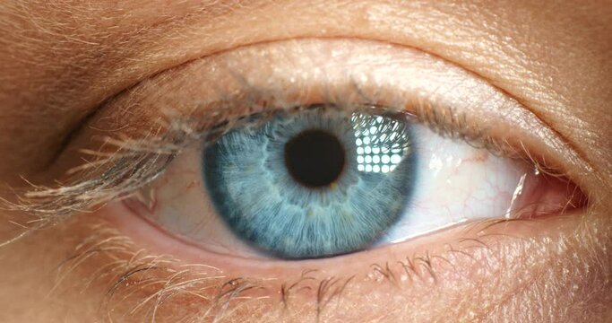 Macro blue eye, iris and vision of a pupil in optometrist exam for eyesight or contact lens for medical healthcare. Closeup portrait of a human eyeball opening in sight, zoom and optic detail to scan