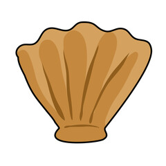 seashells icon