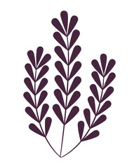 plant branches illustration