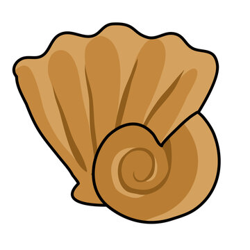 seashells icon