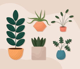 five potted plants