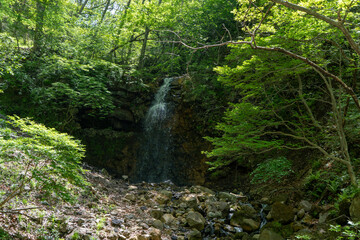 山の中にある滝