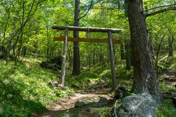 Fotobehang Torii Gates 山の中に構える鳥居  © UNI