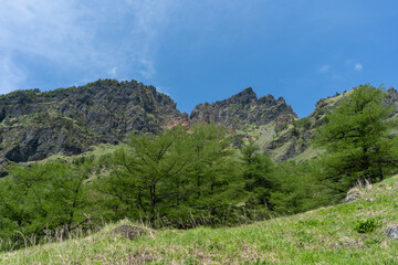 Fototapeta premium 草原と遠くに見える岩山