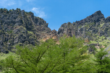 Fototapeta na wymiar 岩山と木々