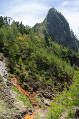 Fototapeta na wymiar 活火山の近くを流れる川