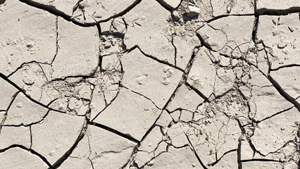 Natural dry background. The dried up surface of the earth in the desert. Cracks