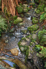 Olinda Creek is a major tributary of the Yarra River in Victoria, Australia. Its origins are in the Dandenong Ranges, and it is notable for passing through the settlement of Lilydale before joining wi