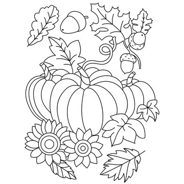 pumpkin acorn flowers autumn leaves fall thanksgiving coloring illustration pages