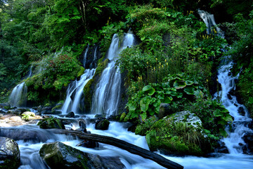 山梨・清里の名瀑　吐竜の滝
