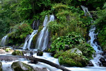 山梨・清里の名瀑　吐竜の滝