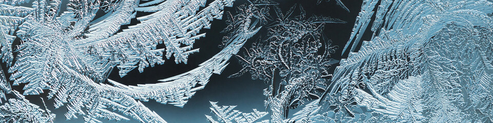 Abstract Xmas header. Ice crystals on frozen window glass. Frost drawing. A pattern of leaves and stems of magical fantastic plant. Blue tinted winter banner. Cold and crystal. Macro