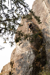 climber climbing in Squamish with branches for forground