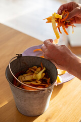 Male hands sorting vegetable peelings in tin bin. Use of food waste, composting, in order to enrich...
