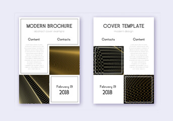 Business cover design template set. Gold abstract
