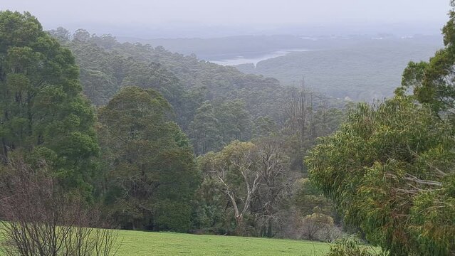Yarra Ranges National Park is located in the Central Highlands of Australia's southeastern state Victoria, 107 km northeast of Melbourne. Established in 1995 and managed by the statutory authority