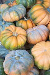 Colorful pumpkins