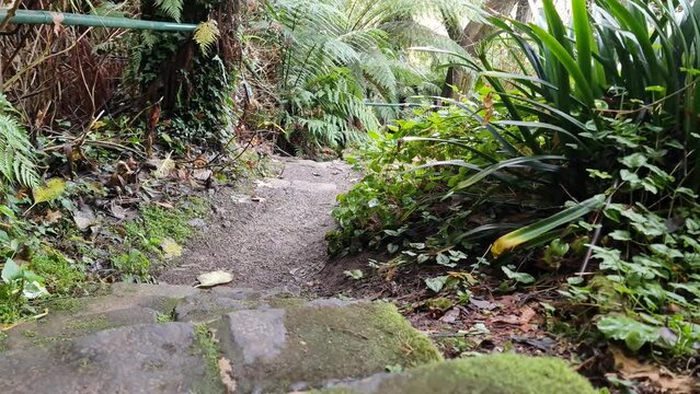 Yarra Ranges National Park is located in the Central Highlands of Australia's southeastern state Victoria, 107 km northeast of Melbourne. Established in 1995 and managed by the statutory authority