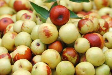 fresh dates harvested as food background