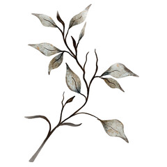 Watercolor leaf illustration 