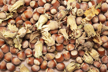 hazelnuts scattered on the table close-up copy space