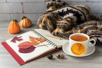 Autumn composition. Cozy home atmosphere with cup of tea with slice of orange, open notepad with dry leaves on it, decorative pumpkins and knitted sweater