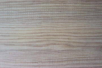 Wood texture, old colored light bright wooden texture - wooden background, panoramic banner