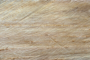 Wood texture, old colored light bright wooden texture - wooden background, panoramic banner