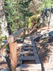 Wooden ladder on trail in Mount Ostas reserve in Table Mountains,