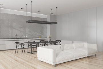 Light studio interior with cooking and relax area with couch