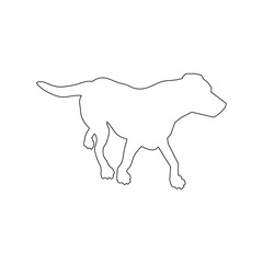 vector animal illustration design art