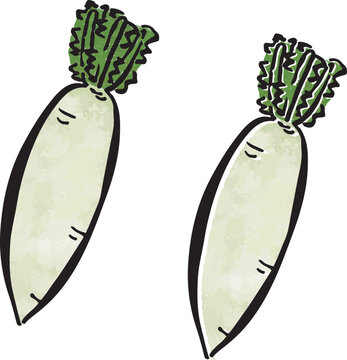 筆で描いた大根のイラスト