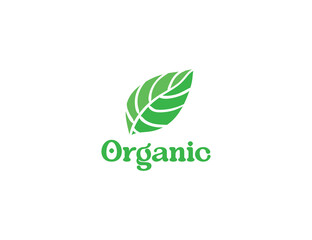 Plant leaf logo design illustration