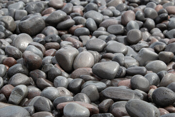 Smooth wet grey beach pebble stones background