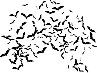 Bat swarm. Flying bat silhouette. Halloween Decoration element.