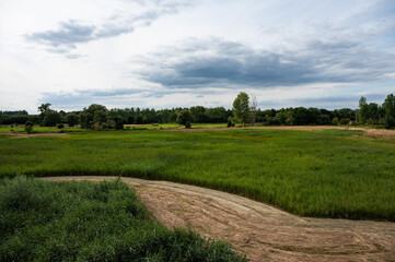 Agriculture fields and green meadows against blue sky at the Doode Beemde nature resevre,  Belgium