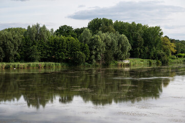 Fototapeta premium Green water ponds with reflecting trees at the Doode Beemde nature reserve, Belgium
