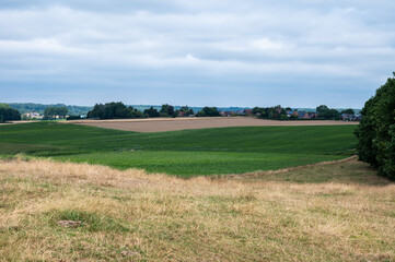 Agriculture fields with green and golden colors after harvest at the Wallon countryside around Seneffe