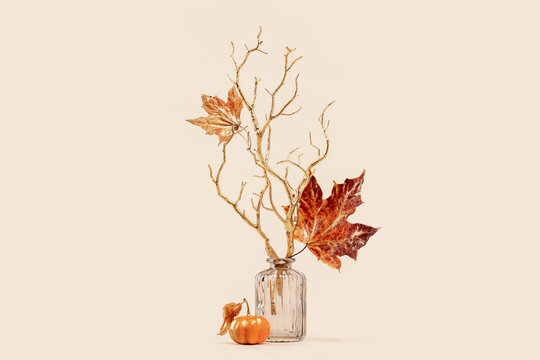 red maple leaves on golden branches in a vase centered. Fall autumn minimal background. Copy space golden foliage and pumkin seasonal backdrop. happy thanksgiving or hello autumn