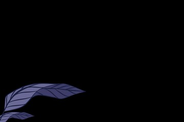 black abstract background with purple leaf elements