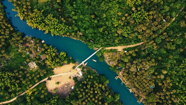 Aerial Shot Of A Bridge Over A River Connecting Two Roads In A Dense Forest